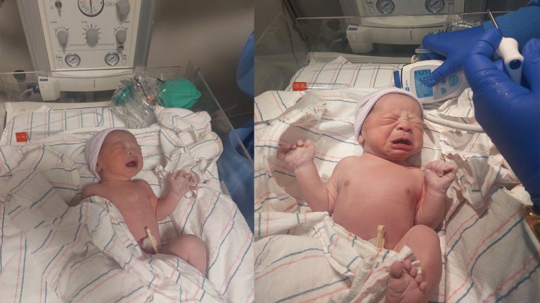 The surrogate baby has been born. – New Zealand